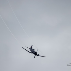 Corsair, Chance-Vought F4U-5NL